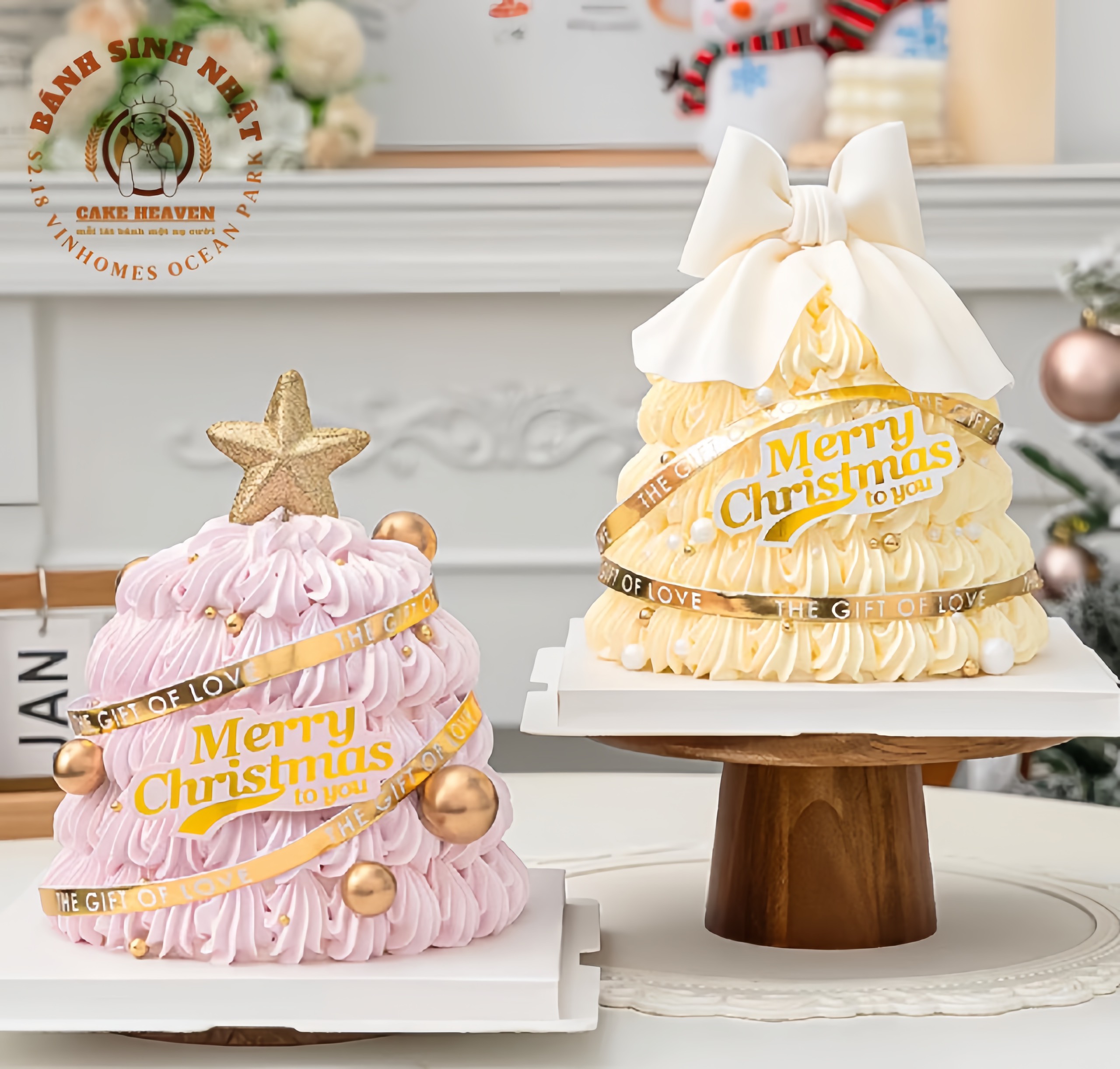 z4856346303057_46d3c133deb75737eaa7029e95b86903