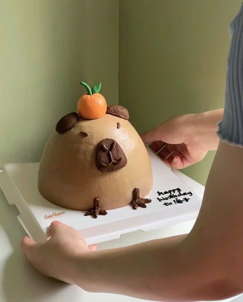 z5747756412591_7178e8b629021989614b60e987270df7