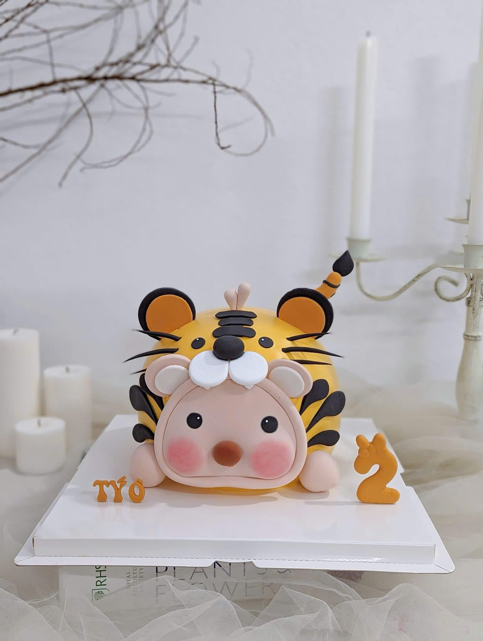 z5845268698813_b67ec1c80945361071bc37da66998e32